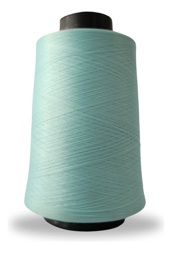 Linha Para Overlock 100g 100% Poliester (tex18) Linhanyl Cor 1226