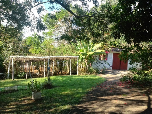 Chácara 2.500 M² - Morungava - Gravataí - Rs - 1657 - 32420178