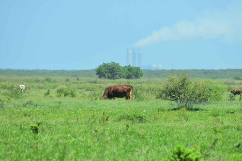 Venta Rancho Ganadero 1229 Hectáreas Tuxpan Veracruz.