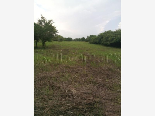 Venta Terreno La Ceiba