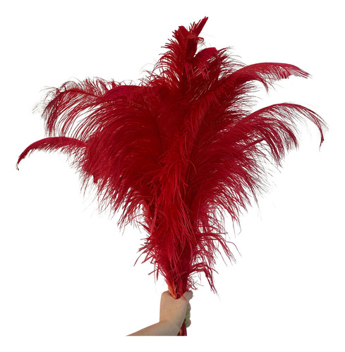 Plumas De Avestruz Palito 100g Decoração Artesanato Colorida Cor Vermelho