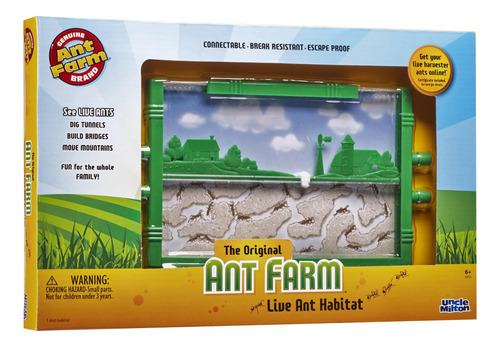 Ant Farm