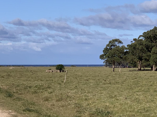 Terreno - José Ignacio