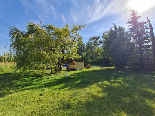 Imagen 9 de 14 de Casa Con Finca - Terreno Amplio