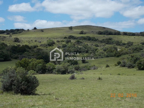 Imagen 25 de 30 de Venta Chacra 96has En Minas, Lavalleja