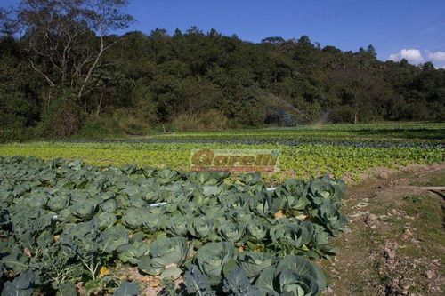 Imagem 7 de 19 de Chácara Com 2 Dormitórios À Venda, 8750 M² Por R$ 800.000,00 - Jardim Cumbica - Guarulhos/sp - Ch0048