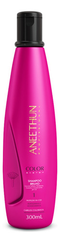 Shampoo Brilho Color System Aneethun 300ml Envio Imediato
