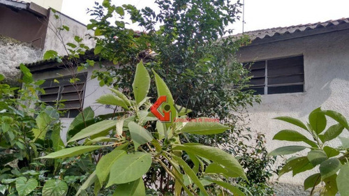 Imagem 2 de 5 de Terreno À Venda, 400 M² Por R$ 1.400.000,00 - Vila Euclides - São Bernardo Do Campo/sp - Te0260