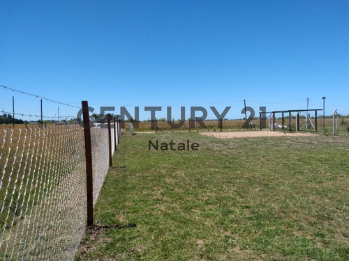 Imagen 4 de 5 de Terreno En Venta. Sicardi, 20 Bis Entre 672 Y 673. Escritura Directa
