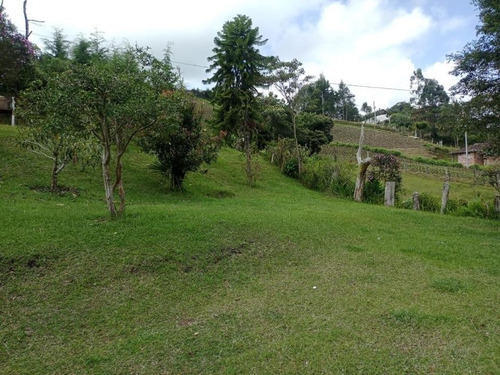 Imagen 8 de 10 de Linda Finca En Venta De Oportunidad El Carmen De Viboral