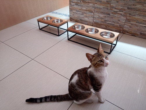 Cama Y Comedero Para Gatos