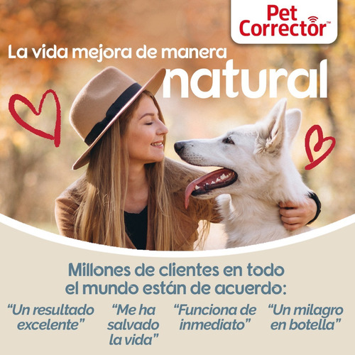 Aerosol Adiestramiento Pet Corrector 50ml