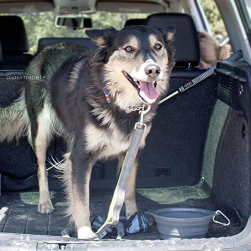 Prima Pets Sale Cuenco Plegable De Silicona Para Viaje Con C