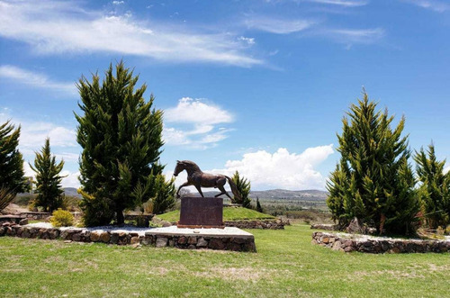 Imagen 8 de 14 de Excelente Terreno En Venta En Jonacapa, Huichapan, Hidalgo.