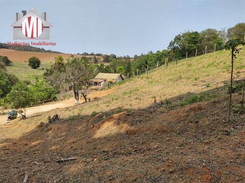 Imagem 28 de 29 de Chácara Com Escritura, 3 Dormitórios, Pomar, Horta, Córrego, Bem Localizada, À Venda, 7777 M² Por R$ 480.000 - Zona Rural - Pinhalzinho/sp - Ch1060