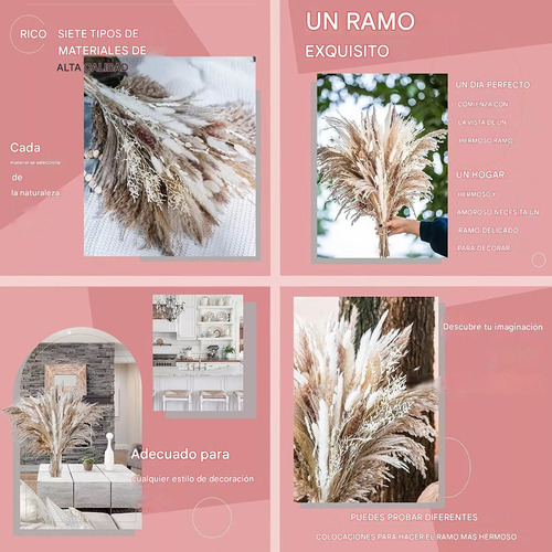 Heaimo 86pcs Ramo De Hierba De Pampas Secas Naturales