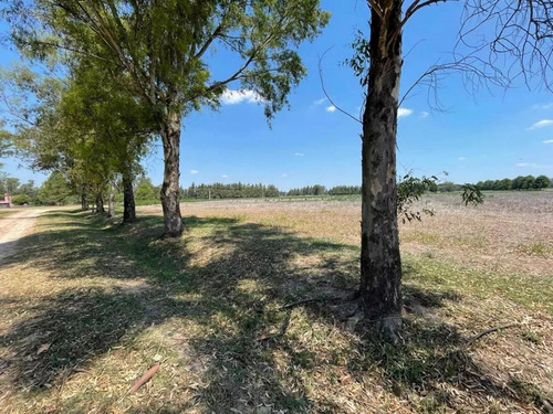 Lote Chacras Del Parana Club De Campo - Dueño Directo - Financia