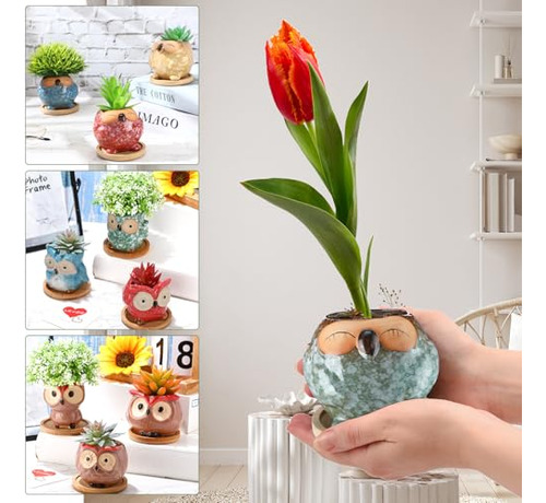 18 Mini Maceteros De Búho Para Suculentas Y Cactus Esmaltado