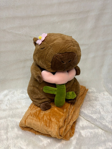 Peluche Capibara Carpincho Con Manta Varios Modelos 40cm Capibara Con Flor Rosa