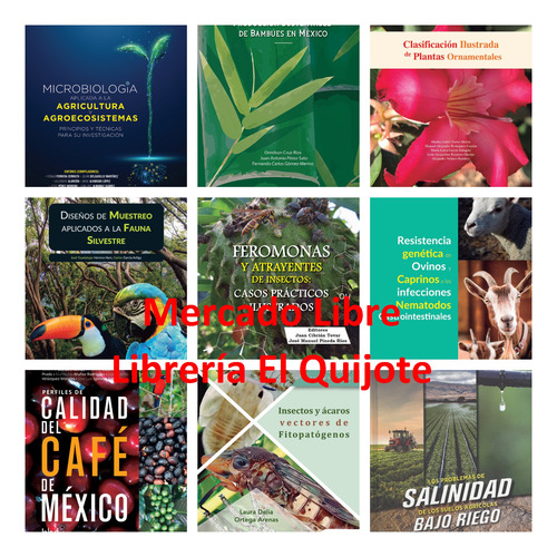 Produccion Sustentable De Bambues En Mexico - Colpos