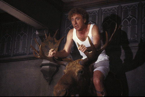 Lua De Mel Assombrada Gene Wilder Dublado E Legendado