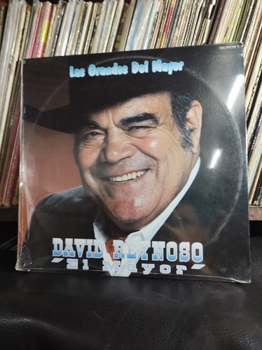 David Reynoso El Mayor Las Grandes Vinilo Lp Vinyl 