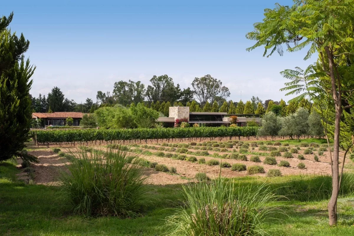 Venta De Terreno En Viñedos La Santisima Trinidad, San Migue