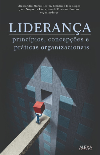 Liderança - Princípios, Concepções E Práticas Org.