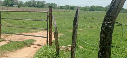 Terreno En Venta Para Pastura 8-12-68.03 Hectareas