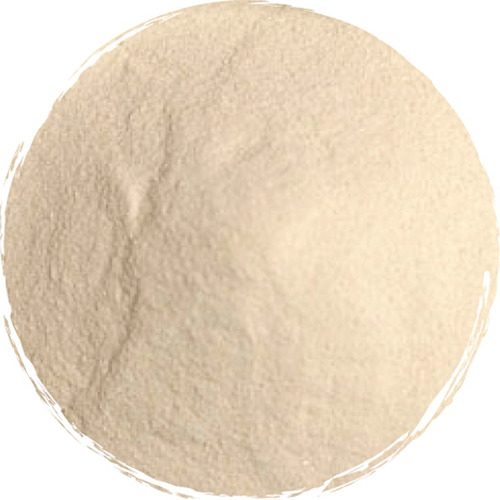 Agar Agar En Polvo Vegetal Natural Sin Sabor Bolsa X 1kg