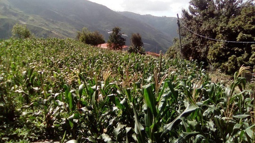 Imagen 14 de 21 de Se Vende Finca 20.748 M2 El Jarillo