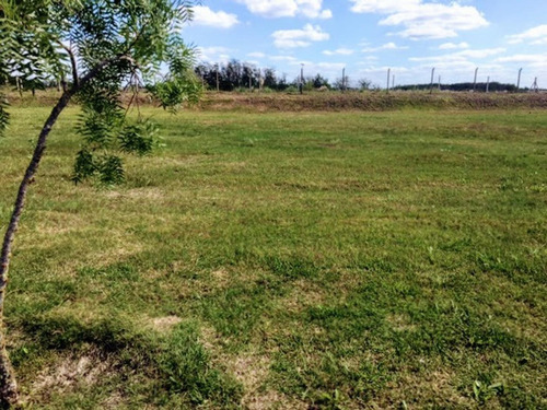 Imagen 6 de 23 de Terreno En Venta Perimetral En B° San Sebastián, Área 13