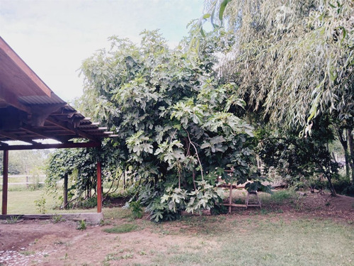 Parcela De 5000m2 Con Casa .