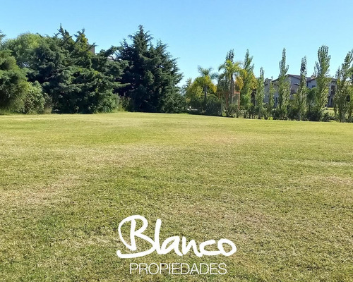 Imagen 1 de 8 de Lote Interno! Excelente Lote En San Marco - Villanueva