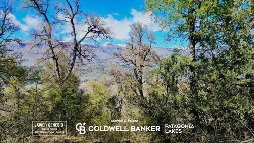 Venta Lote/terreno 3 Hectáreas Vega Maipu San Martin De Los Andes