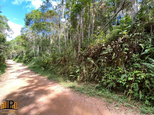 Imagem 3 de 15 de Chácara De 2.500m2 `a 2,5km Do Centro De Juquitiba À Venda Bairro Cachoerinha - Ch07781 - 69454197