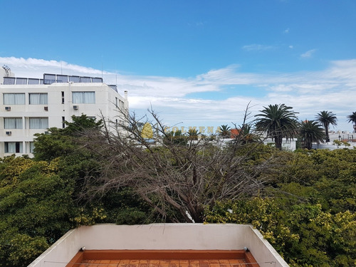 Apto Con Excelente Ubicación, A Pasos De Gorlero, Del Puerto De Punta Del Este- Ref: 4183