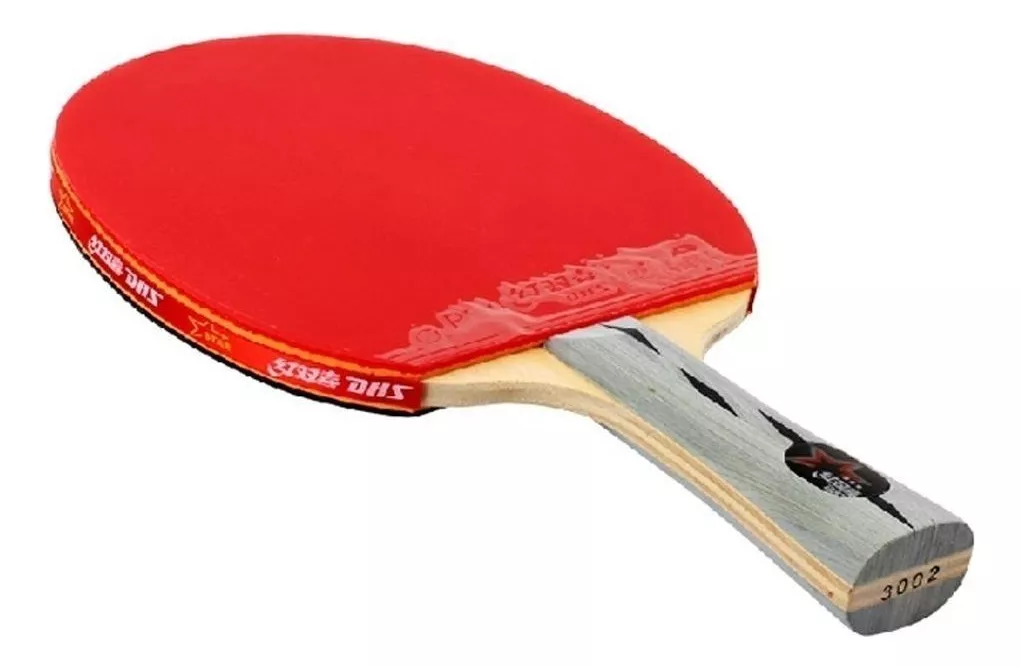 Tercera imagen para búsqueda de paletas ping pong