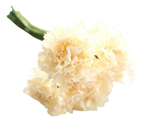Ramo De Claveles Con Flores Simulado Para El Día De La Madre