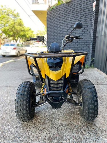Imagen 3 de 5 de Can Am Ds 250
