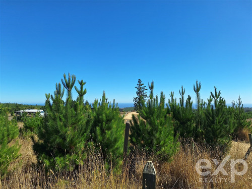 Vende Sitio L37 5.000 M2 Vista Al Mar Pichilemu