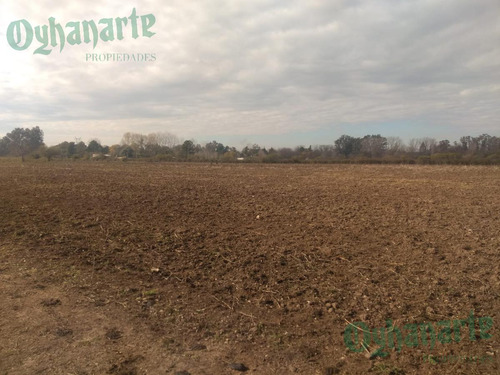 Imagen 17 de 21 de Venta De Campo De 23 Hectáreas En General Rodriguez.