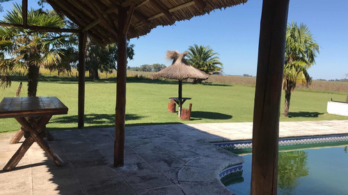 Imagen 3 de 17 de Campo 33 Has. Chacra. Excelente Chalet. Casa Quinta. Riestra. Roque Perez
