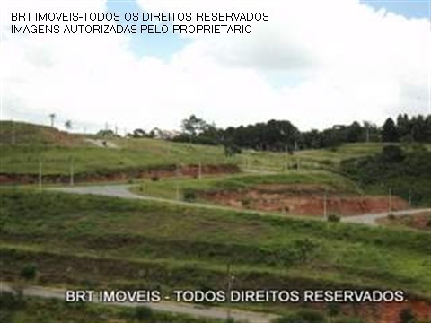 Imagem 15 de 21 de Terreno - Te00003 - 1587538