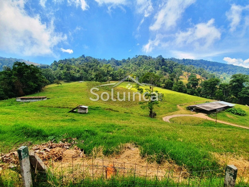 Imagen 23 de 30 de Amplia Finca En Venta Mérida, Chiguará