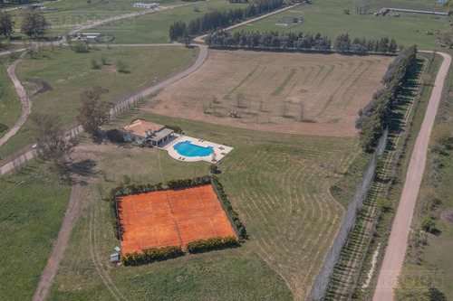 Terreno - Los Pinares C. Club