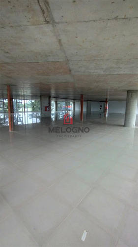 Oficina 247,3m2 En K41- Francisco Alvarez.