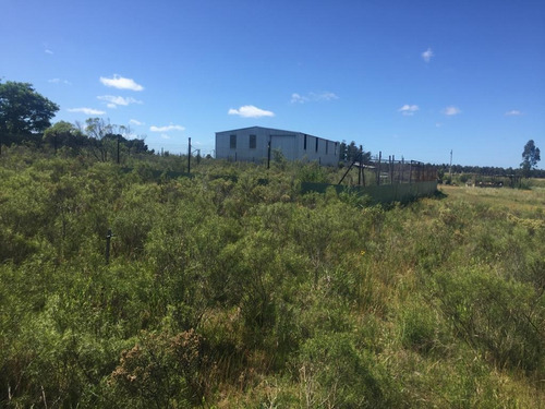 Vende Chacra En Excelente Punto Sobre Camino A 1 Km De Ruta