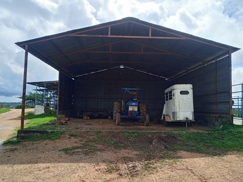 Imagen 5 de 25 de Finca Venta Lara Acarigua En Venta (gamelotal) De 251 Hectareas