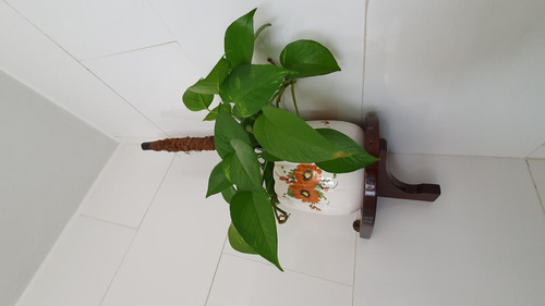 Departamento En Venta En Olivos